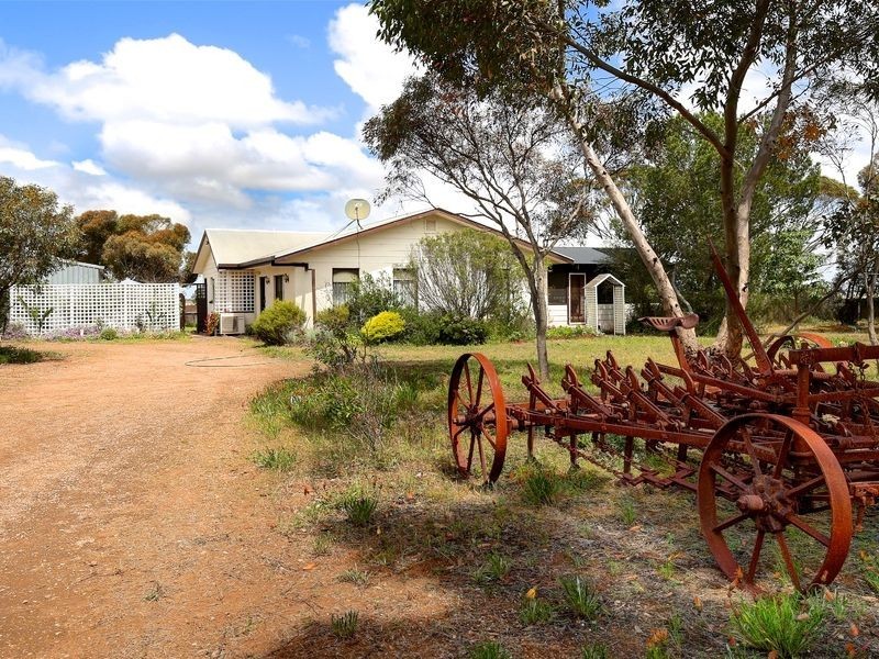 144 Blackett Road, Tailem Bend SA 5260