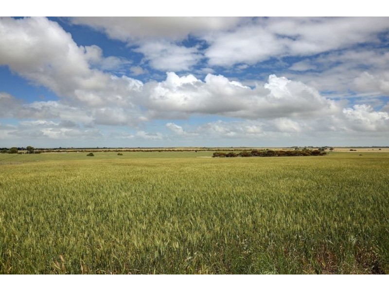 144 Blackett Road, Tailem Bend SA 5260