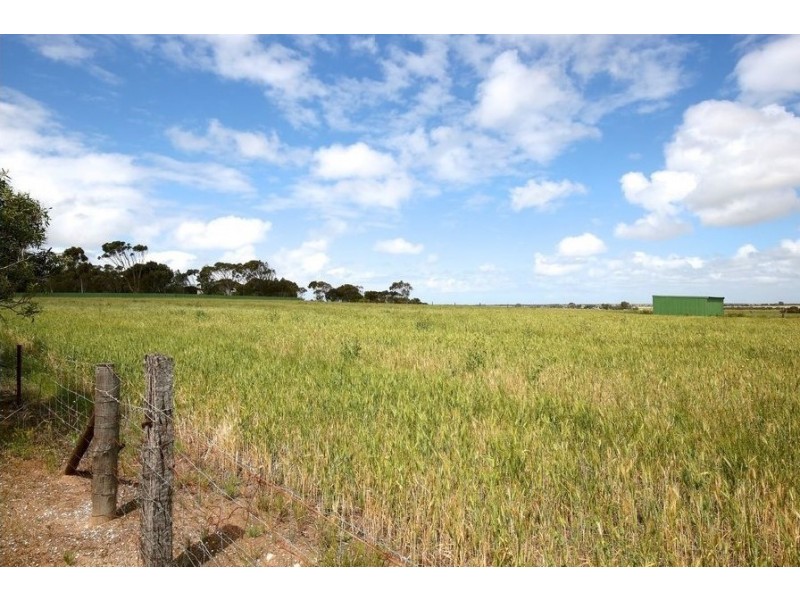 144 Blackett Road, Tailem Bend SA 5260