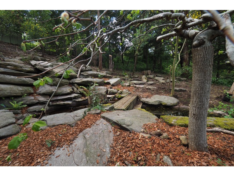 5 Honeysuckle Lane, Bridgewater SA 5155