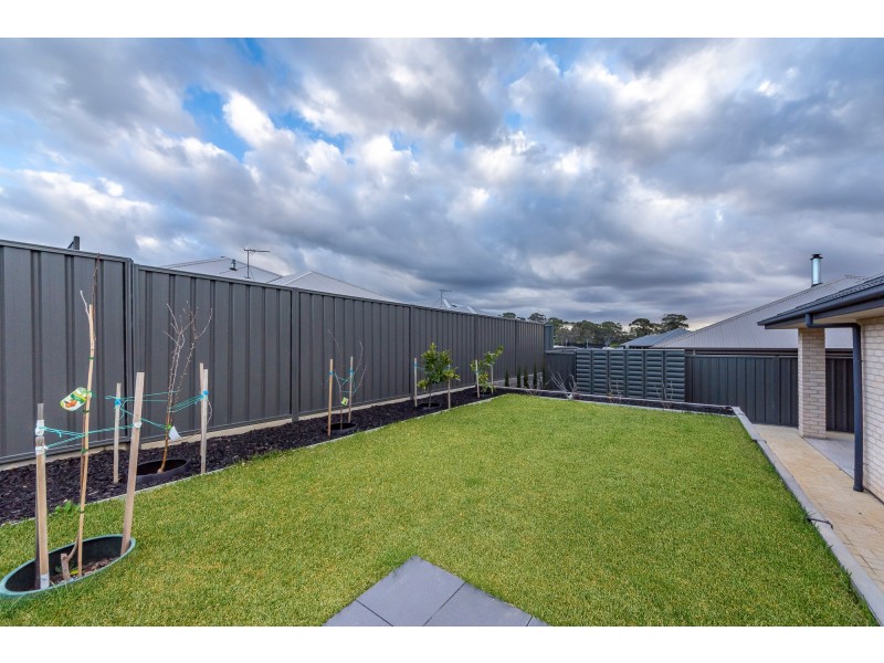 14 Amblemead Drive, Mount Barker SA 5251