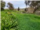 249 Old Princes Highway, Blakiston SA 5250