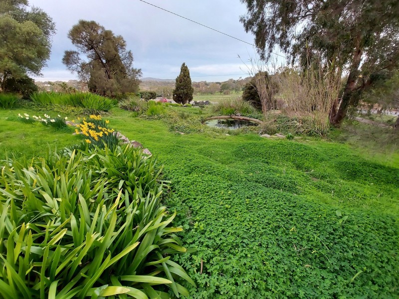 249 Old Princes Highway, Blakiston SA 5250