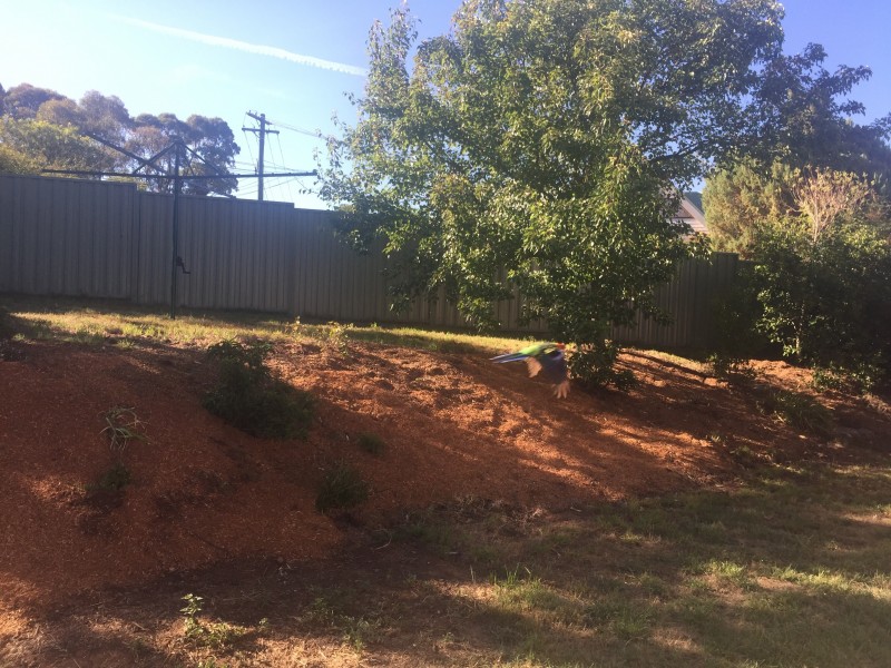 12 BIRD PLACE, Flynn ACT 2615