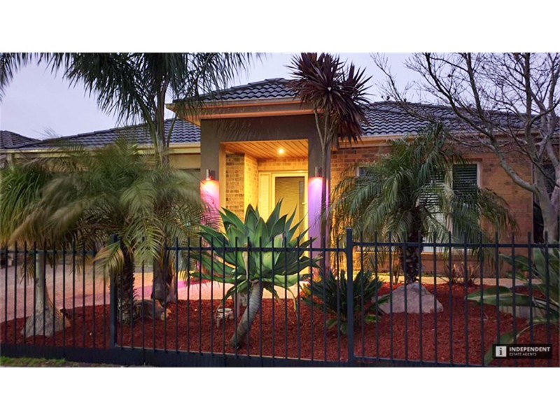 6 Aisbett Close, Lynbrook VIC 3975