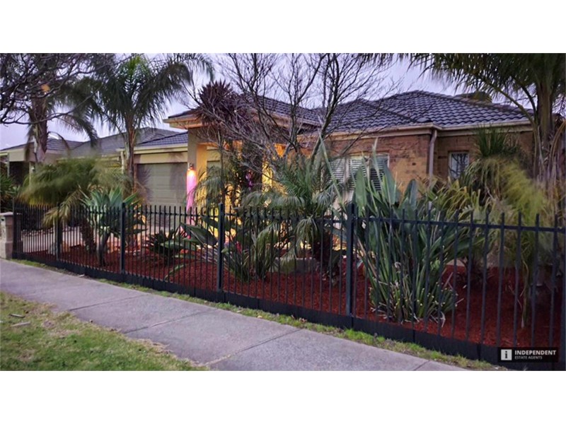 6 Aisbett Close, Lynbrook VIC 3975