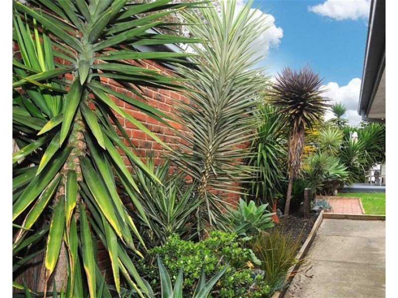 208 Hall Road, Carrum Downs VIC 3201