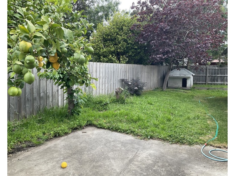 1/103 Dunsterville Crescent, Frankston VIC 3199