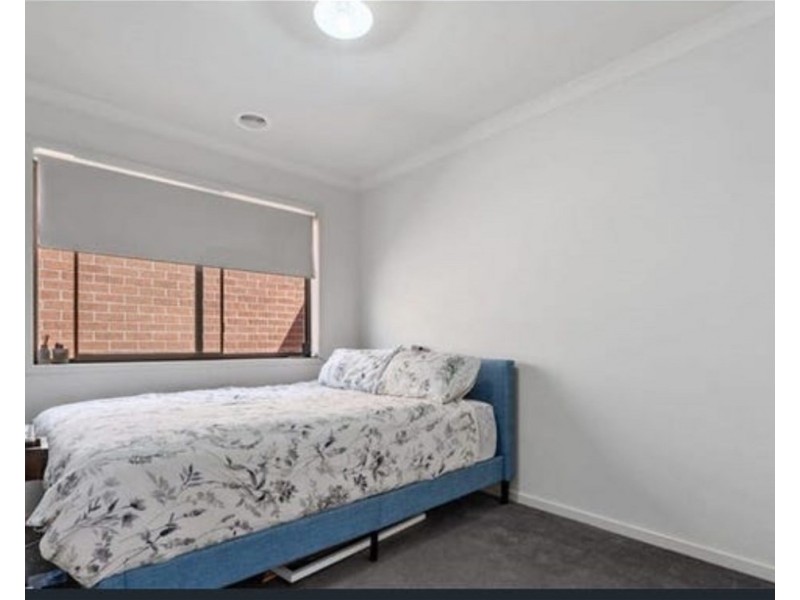 35 Clement way, Melton South VIC 3338