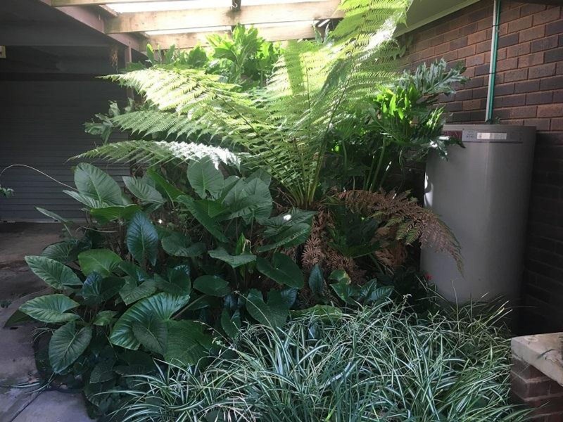 1/81 Allan Street, Kyabram VIC 3620