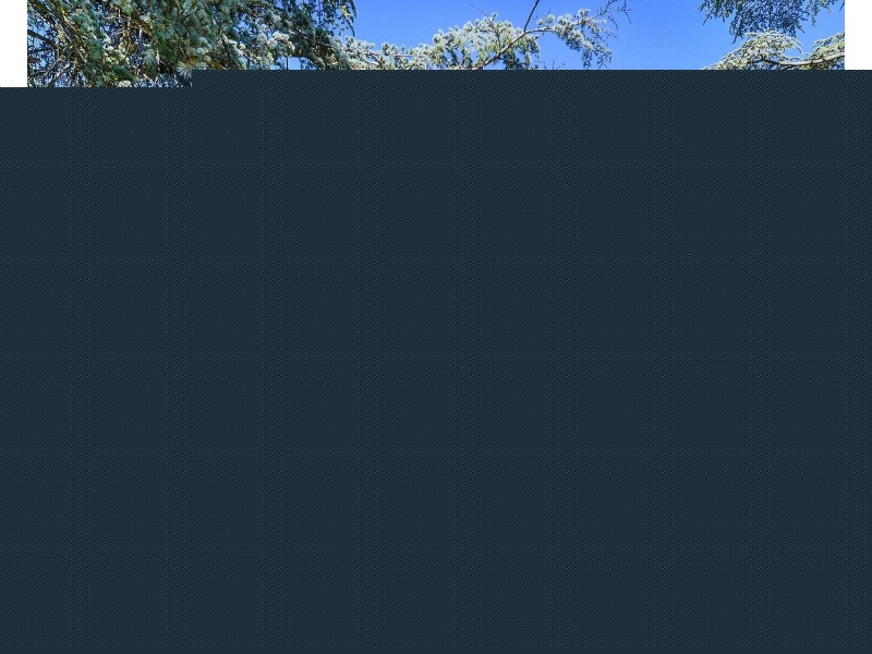 939 Ryan Road, Lancaster VIC 3620