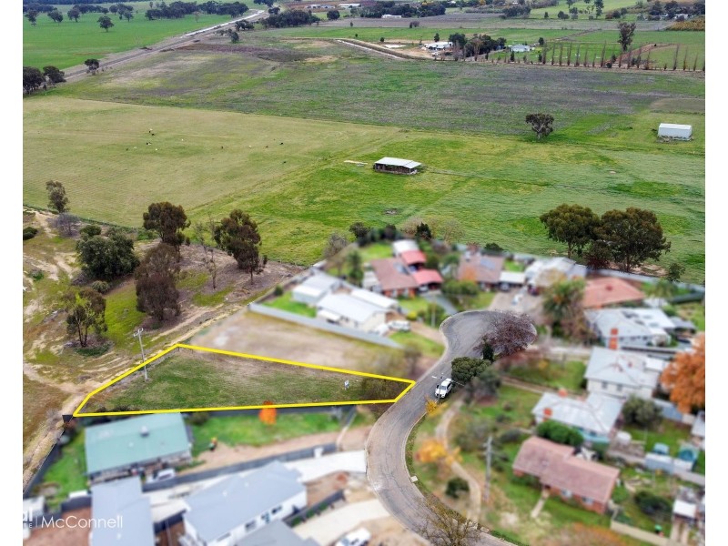 29 Palmer Crescent, Merrigum VIC 3618