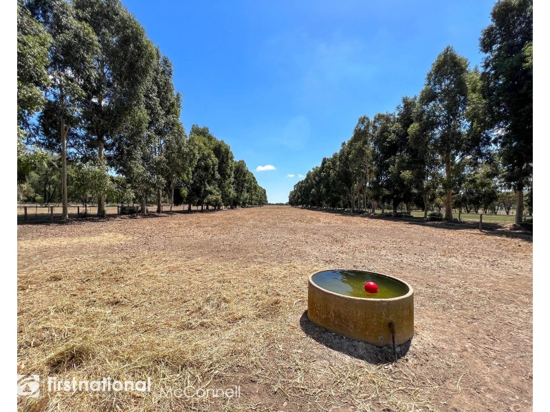 1014 Finlay Road, Wyuna East VIC 3620