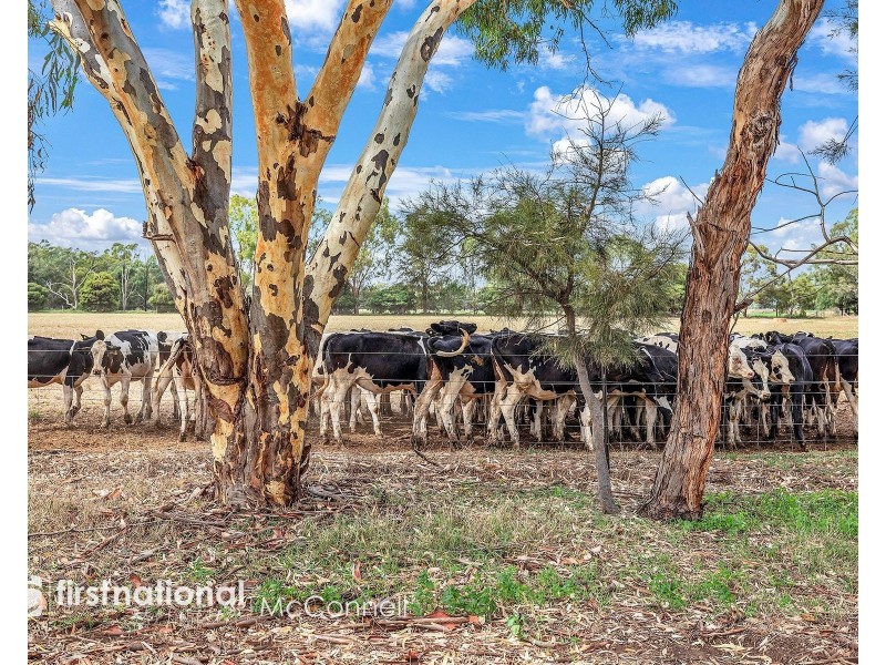 233 McColl Road, Girgarre VIC 3624