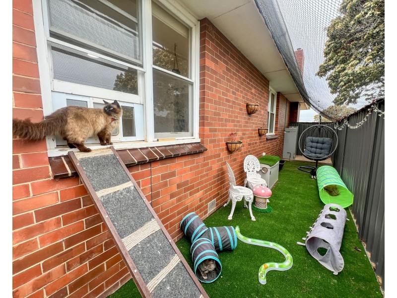 1 Chaston Street, Kyabram VIC 3620