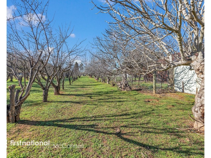 45 Palmer Road, Kyvalley VIC 3621
