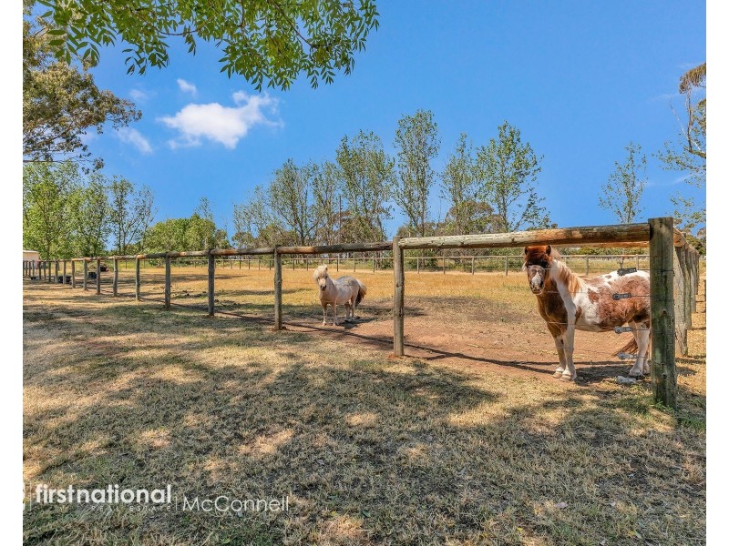 482 Day Road, Tongala VIC 3621
