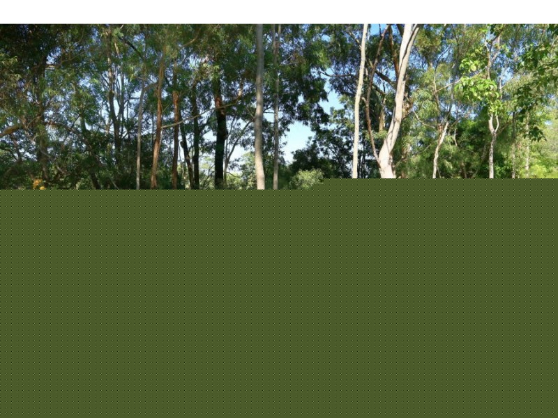 16 Golden Crescent, Southport QLD 4215