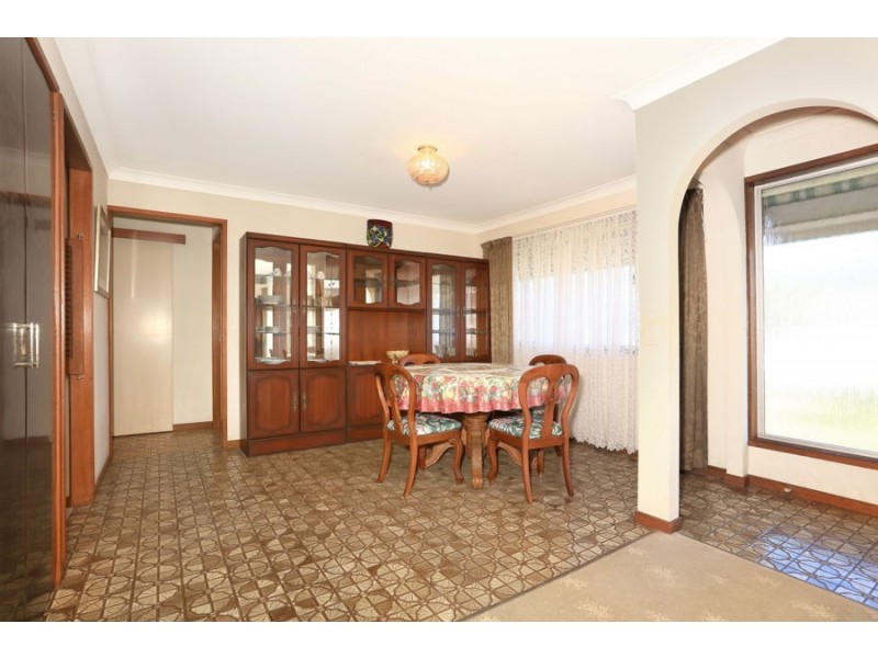 11 Sycamore Place, Palm Beach QLD 4221