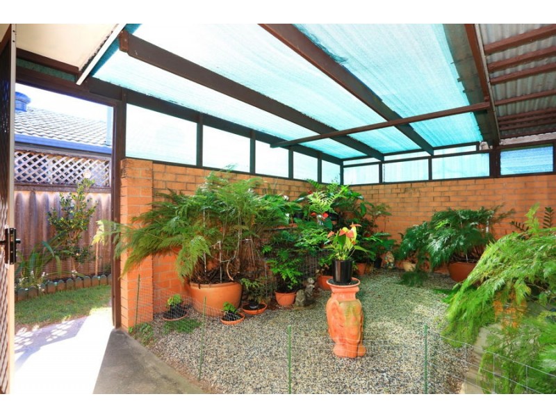 11 Sycamore Place, Palm Beach QLD 4221