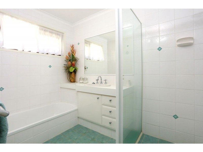 239 Mallawa Drive, Palm Beach QLD 4221