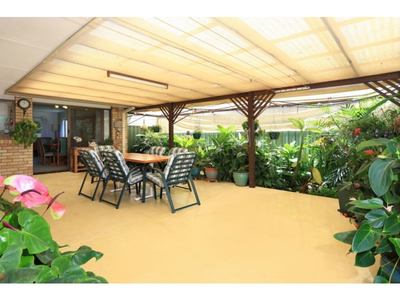 239 Mallawa Drive, Palm Beach QLD 4221