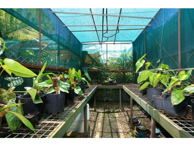 239 Mallawa Drive, Palm Beach QLD 4221