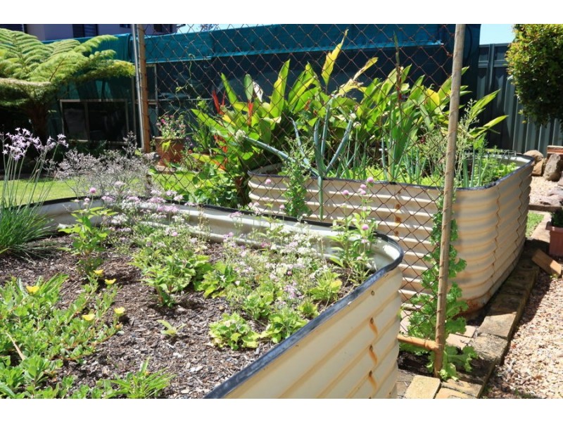 239 Mallawa Drive, Palm Beach QLD 4221