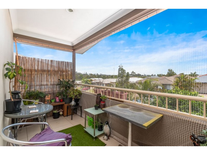 6 Jimmy Road, Coomera QLD 4209