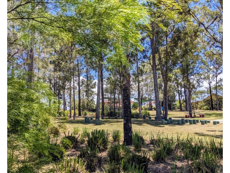 14 Gumleaf Drive, Molendinar QLD 4214