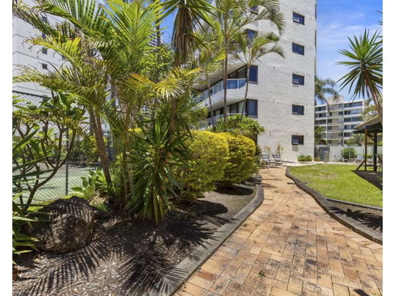 14/19 Fern Street, Surfers Paradise QLD 4217