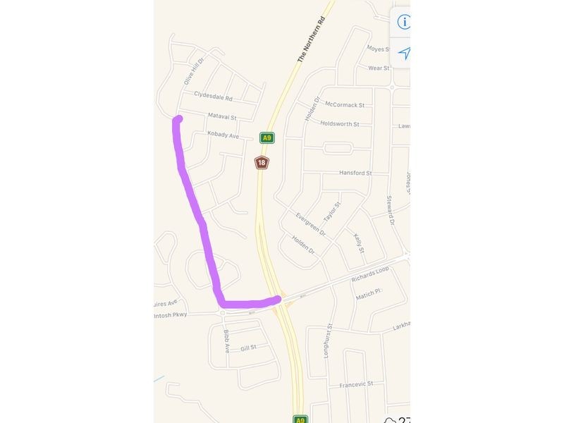 72 Olive Hill Drive, Oran Park NSW 2570