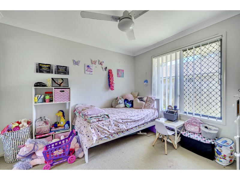 66 Mccorry Drive, Collingwood Park QLD 4301