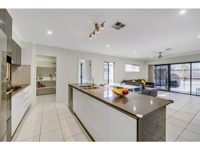 94 Steamer Way, Spring Mountain QLD 4124