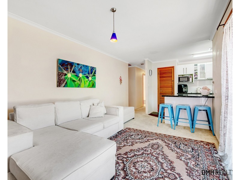 17 Basswood Street, Algester QLD 4115