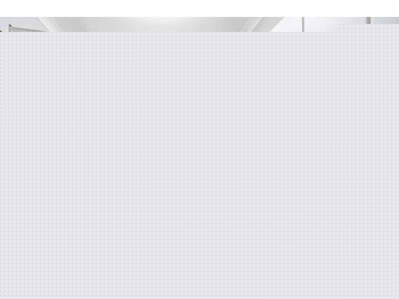 29 Wilga Street, Concord West NSW 2138