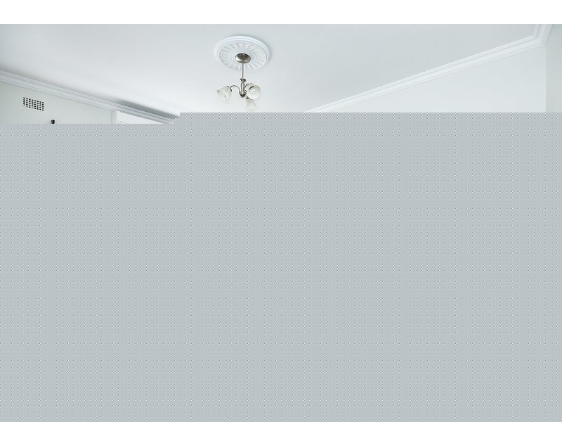 29 Wilga Street, Concord West NSW 2138