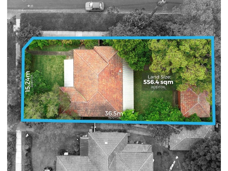 3c Macnamara Avenue, Concord NSW 2137