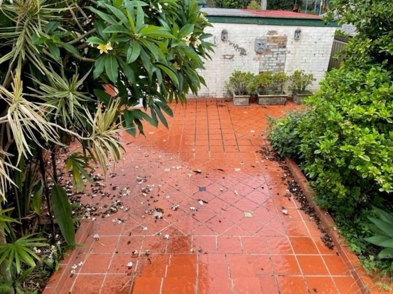 29 Greenbank Street, Marrickville NSW 2204