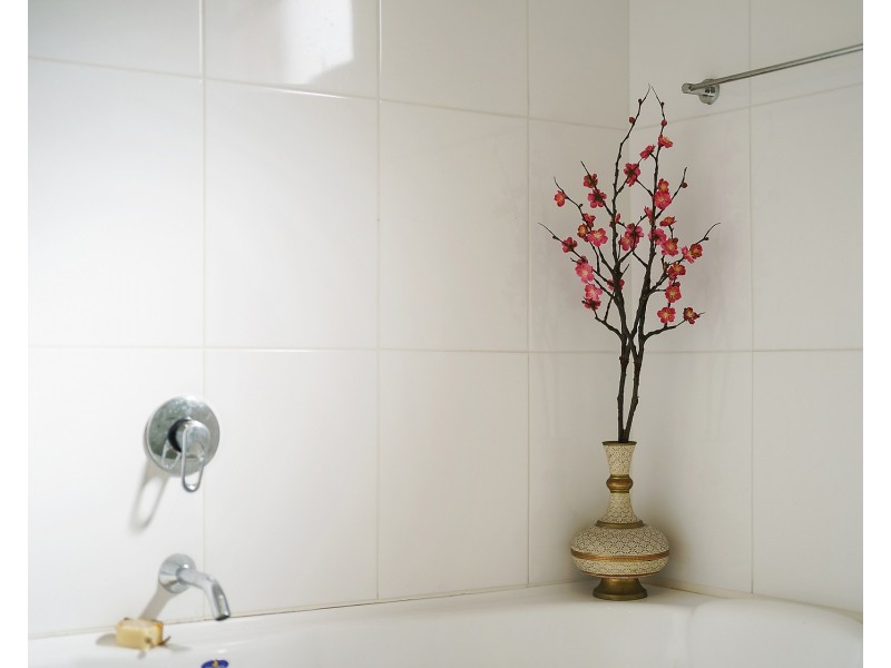 42/1 Janoa Place, Chiswick NSW 2046