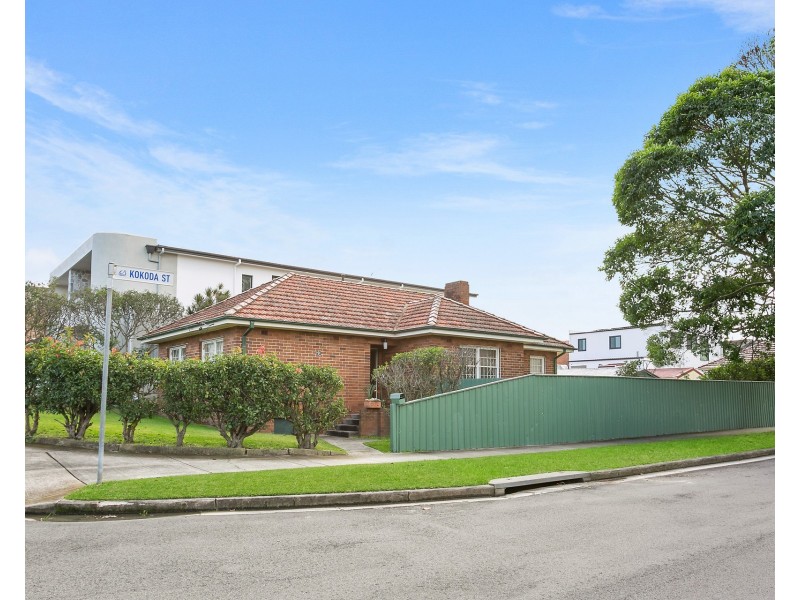 20 Tyler Crescent, Abbotsford NSW 2046