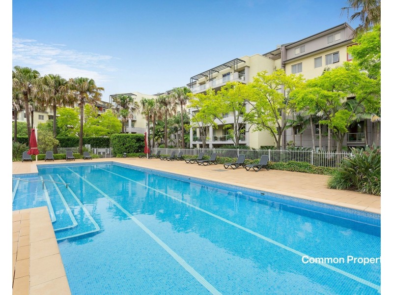 41/100 William Street, Five Dock NSW 2046