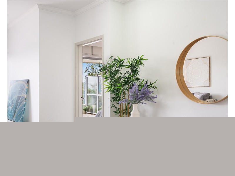 358/1 The Promenade, Chiswick NSW 2046