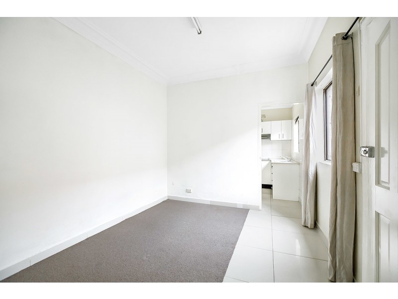 29 Woodland Street, Marrickville NSW 2204