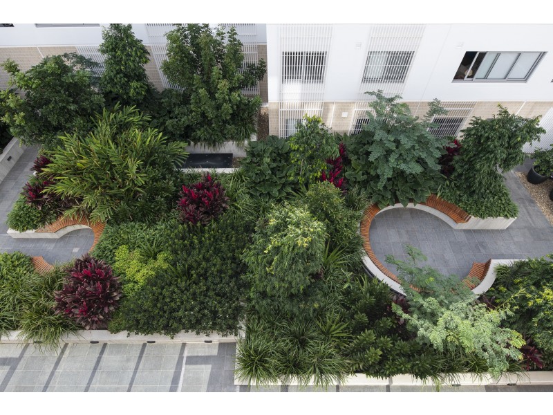 343/807 New Canterbury Road, Dulwich Hill NSW 2203