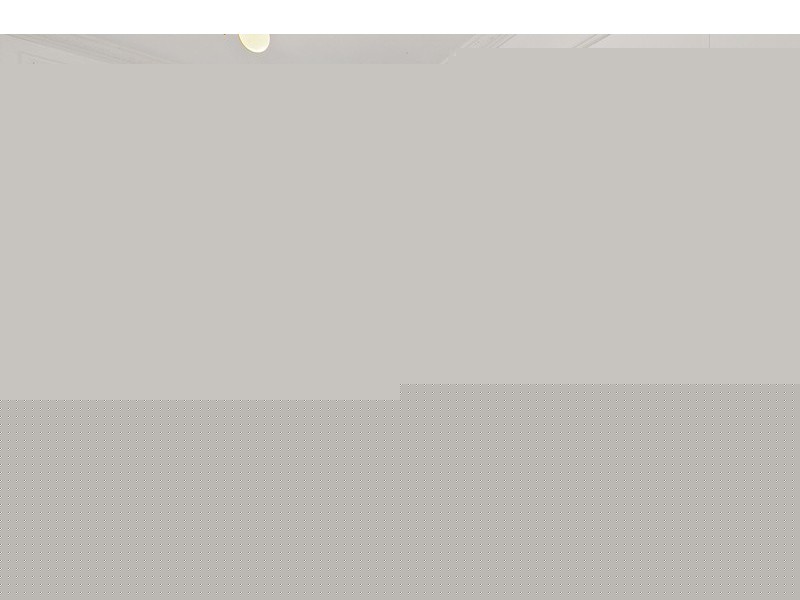 9 Tincombe Street, Canterbury NSW 2193