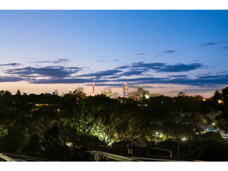 29A Woodland Street, Marrickville NSW 2204