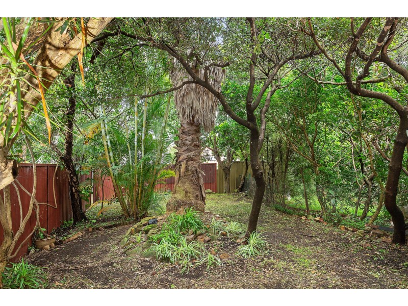 22 Francis Street, Marrickville NSW 2204