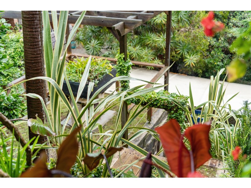 22 Francis Street, Marrickville NSW 2204