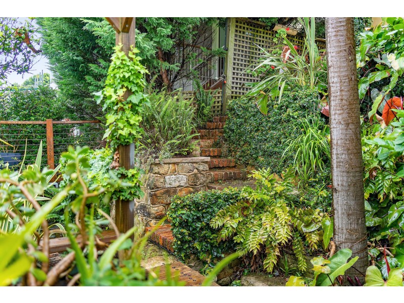 22 Francis Street, Marrickville NSW 2204